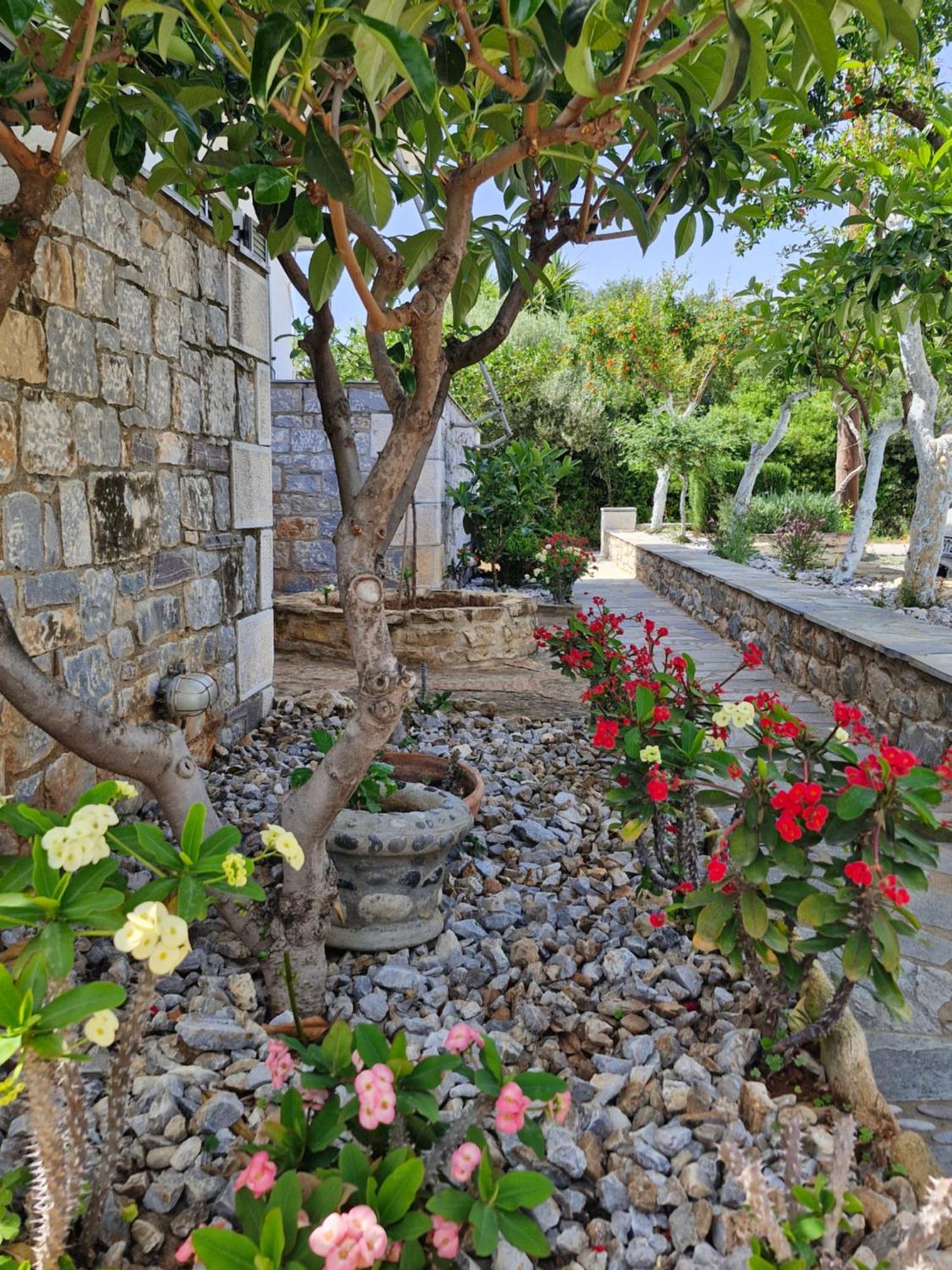 Anna Maria Studios Agios Nikolaos  Exterior photo