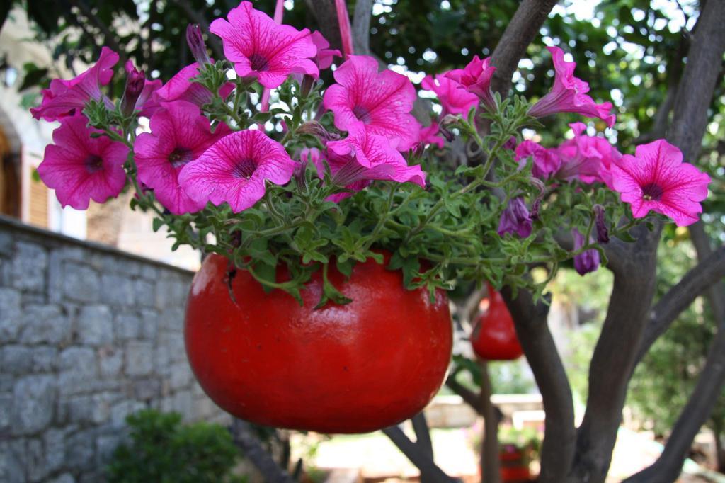 Anna Maria Studios Agios Nikolaos  Exterior photo